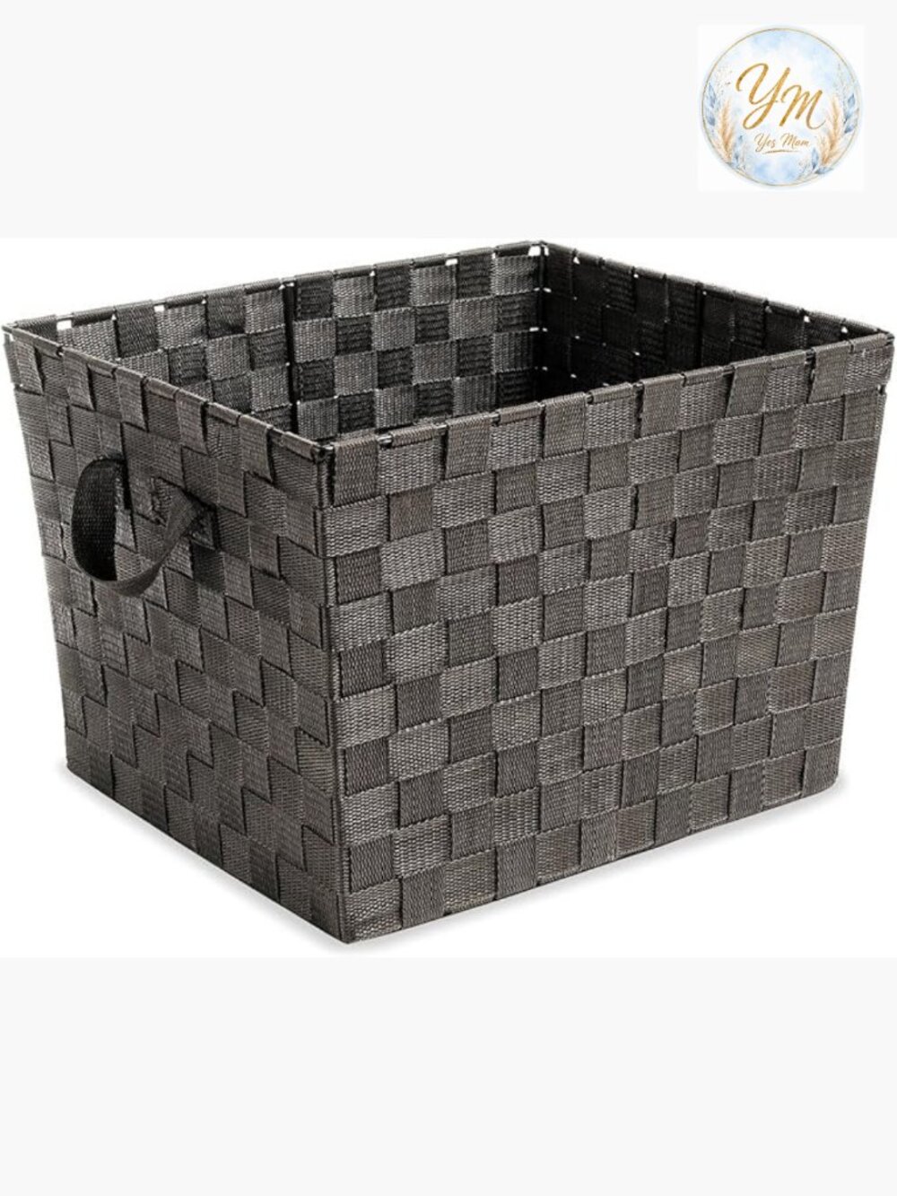 Woven Strap Storage Tote Basket - Large